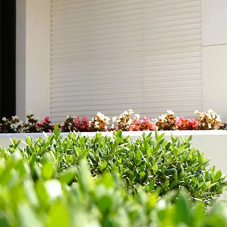 Szálloda Arbnor Boutique Tirana