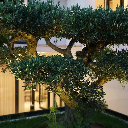 Arbnor Boutique 4* Tirana